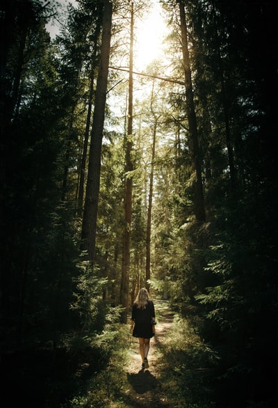 女人走在森林里
